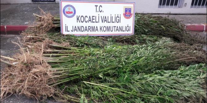 Temmuz ayında uyuşturucuya büyük darbe