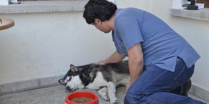 Tepebaşı Belediyesi sokak hayvanlarını unutmuyor