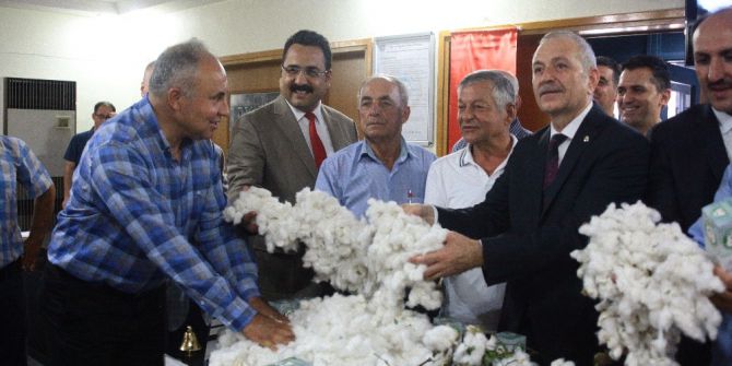 80 kilogram pamuk 40 bin liraya satıldı