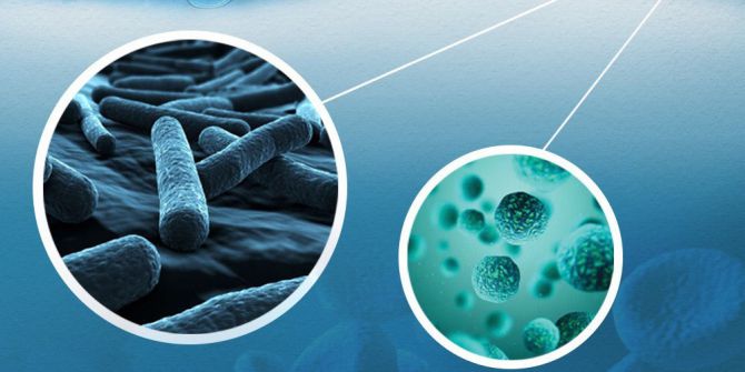 Su ve besinlerle bulaşan hastalıklar