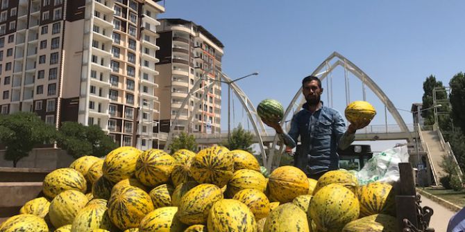Muş’un karpuz ve kavunu tezgahlardaki yerini aldı