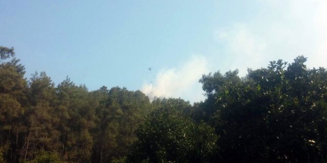 Antalya’da orman yangını