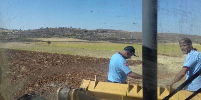 Midyat’ta yangın 50 dönümlük araziye zarar verdi