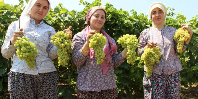 Türk üzümü bir yıl aradan sonra Rusya pazarında