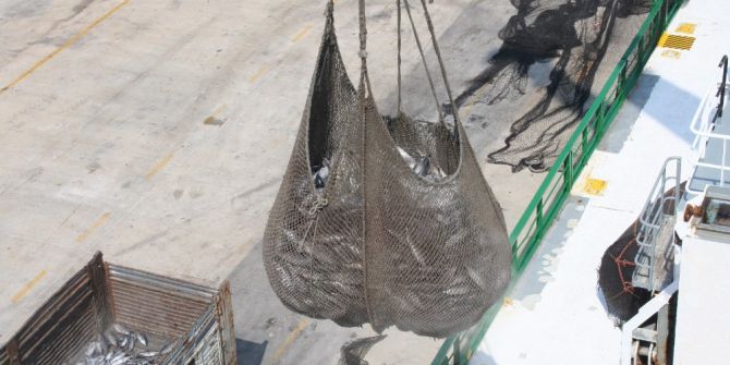 Dardanel, tarihinin en büyük ham madde alımını yaptı