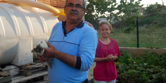 Su borusuna sıkışan yavru kediyi itfaiye kurtardı