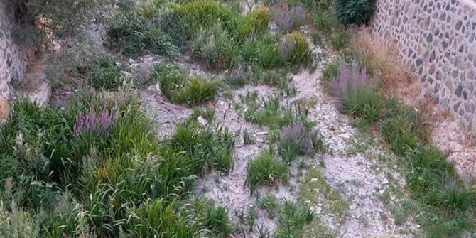 Aşırı sıcaklar Tohma Çayı’nı kuruttu