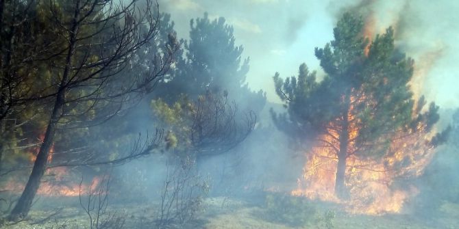 Kastamonu’da ormanlık alanda yangın