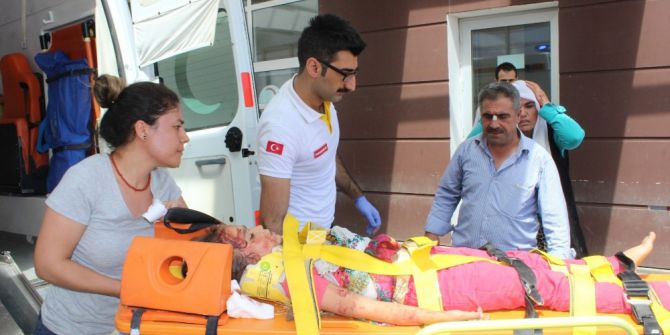 Kamyonet tarlaya uçtu: 9 yaralı