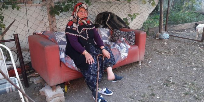 Bacağını yılan ısıran kadın, yoğun bakım ünitesinde tedavi gördü