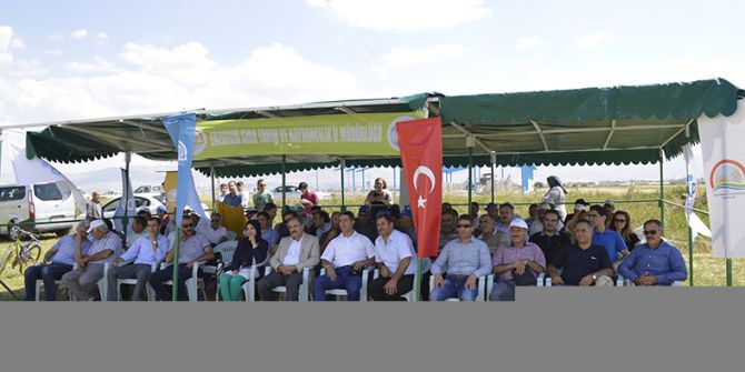 Rulo Balya Silajı için Aziziye’de ‘Tarla Günü’ düzenlendi