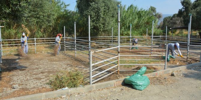 Kurban Bayramı Öncesi Söke’de Hayvan Pazarı Temizlendi