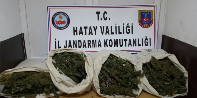 Hatay’da uyuşturucu operasyonu