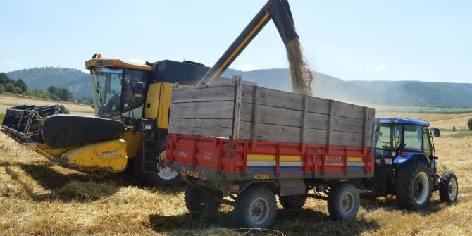 Buğdayın atası ‘Siyez’in hasadı devam ediyor