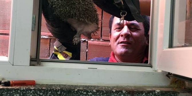 Sıkışan kirpiyi itfaiye kurtardı