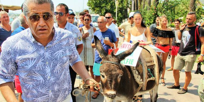 Ünlü türkücü Bodrum sokaklarında eşek gezdirdi, hayvan severler çıldırdı