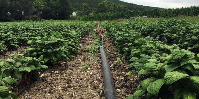 İBB tarımda modern teknolojiye destek oluyor