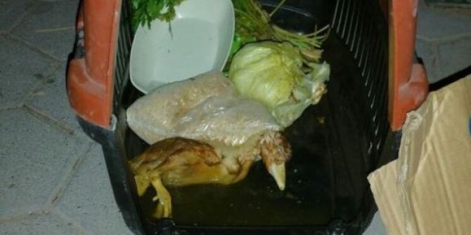 Şaşırtan fotoğraf