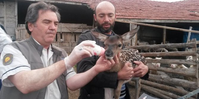 Bakan Eroğlu: “Yaban hayatını korumak vazifemizdir”