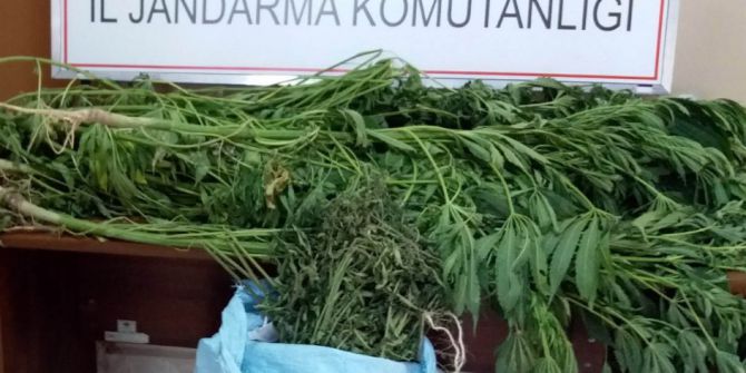 Yozgat’ta uyuşturucu operasyonu