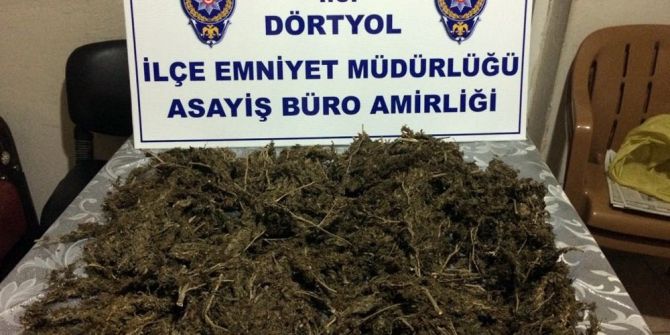 Hatay’da uyuşturucu operasyonu