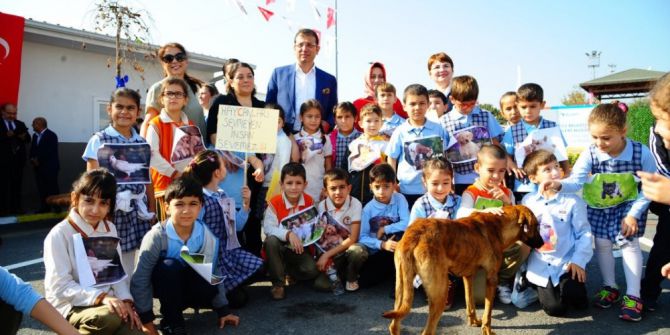 Beylikdüzü’nde ücretsiz kuduz aşısı kampanyası başlıyor