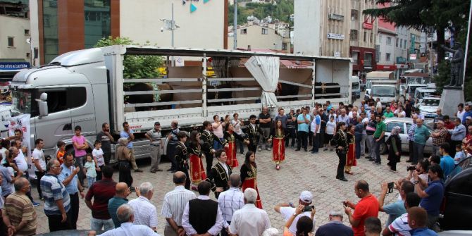 Ege’nin boğaları ile Karadeniz’in boğaları dostluk için güreşecek