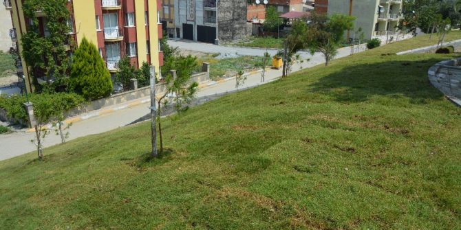 Söke’de yeşil alan miktarı artıyor