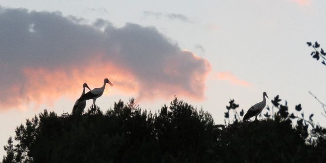 Leylekler Vadisi’nde gün batımı