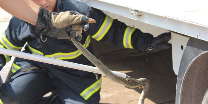 Aracına 1.5 metrelik yılan giren sürücüyü korkudan kaşıntı tuttu