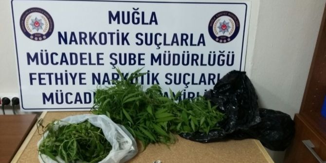 Fethiye’de uyuşturucu operasyonu: 1 tutuklama