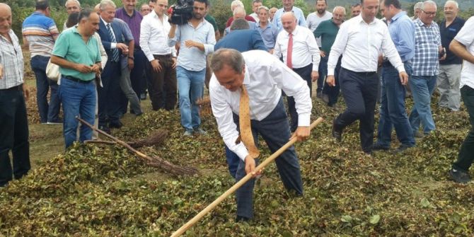 CHP’li Torun: “Lütfen fındık üreticisine sahip çıkın"