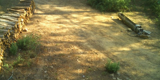 Odun hırsızı fotokapana yakalandı