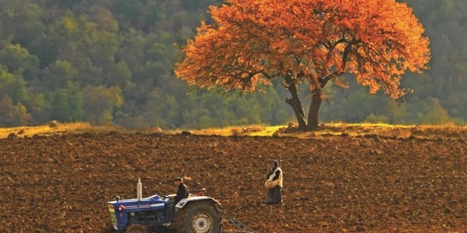 Aydın’da traktör sayısı 44 bin 674 oldu