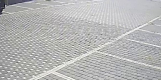 Ayakkabı fareleri tutuklandı