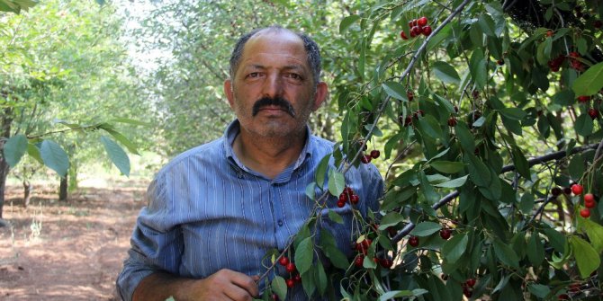 Haber olunca işleri düzeldi.