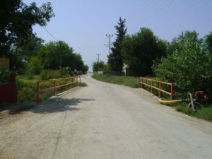 Adana Ceyhan Büyükburhaniye Köyü