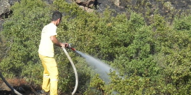 Tavşanlı’daki mesire alanında yangın