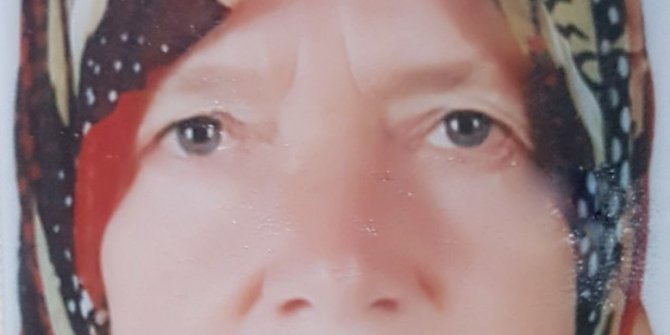 Böğürtlen toplamaya giden yaşlı kadın dere yatağında ölü bulundu