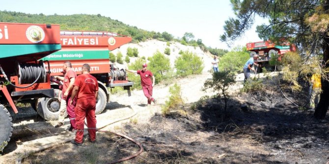 Tekirdağ’da 50 dönüm ormanlık alan kül oldu