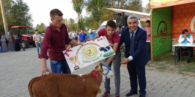 Hisarcık’ta ’en güzel buzağı’ yarışması