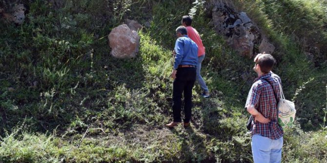Sakarya’da ayılar için foto kapan kurdular