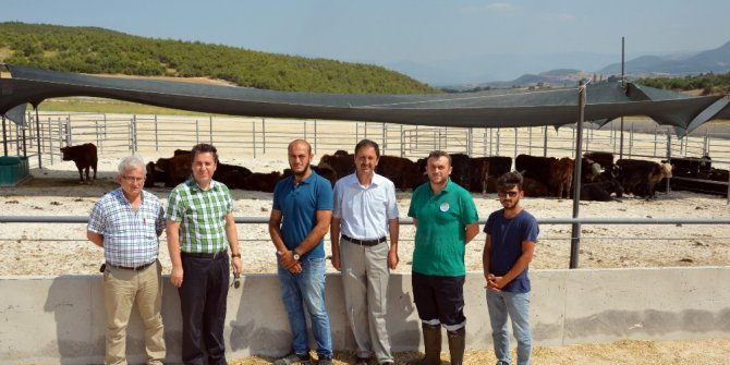 Tokat’a bölgenin en büyük besi çiftliği kuruldu