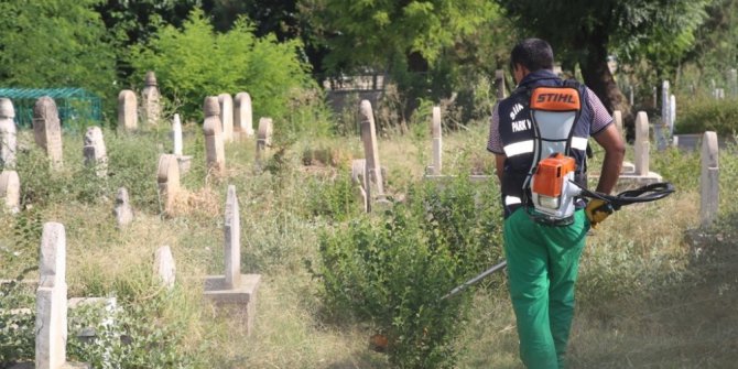 Mezarlıklarda yabani otlar toplandı