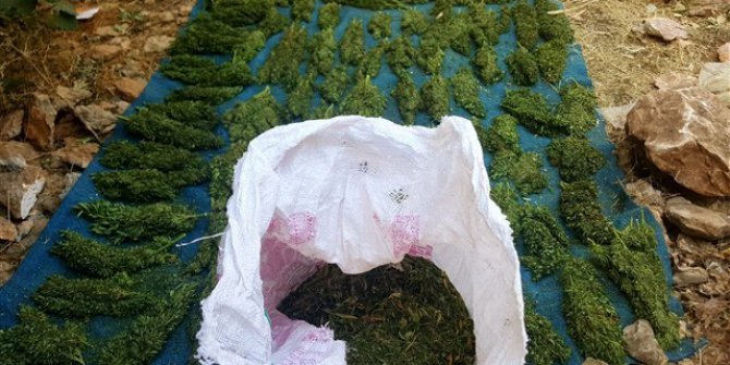 Diyarbakır’da zehir tacirlerine darbe