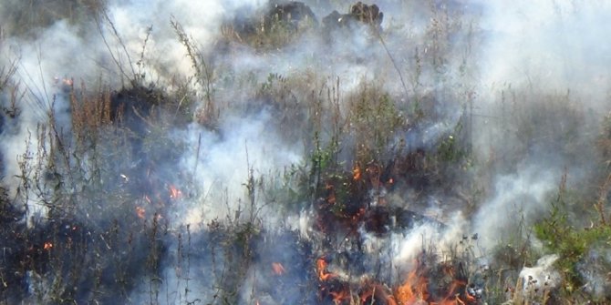 Dereiçi’nde otları ateşe verdiler