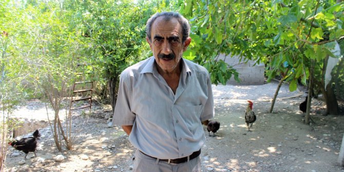 150 tavuğu çalan hırsız güvenlik kamerasının kayıt cihazını da almış