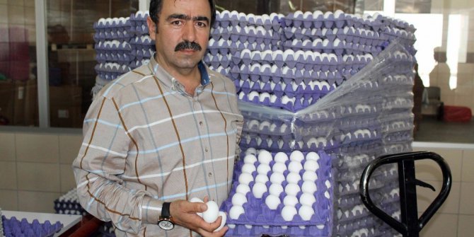 Yum-Bir Başkanı Afyon: “Türk yumurtasında zehir yok”