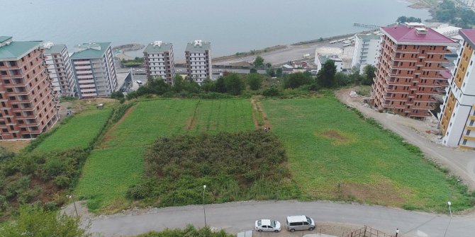 Yalıncak karpuzu betonlaşma kurbanı