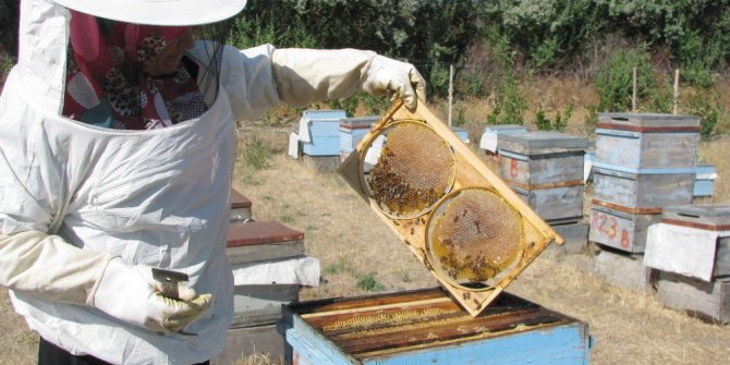 Havaların kurak geçmesi arıcıları olumsuz etkiledi